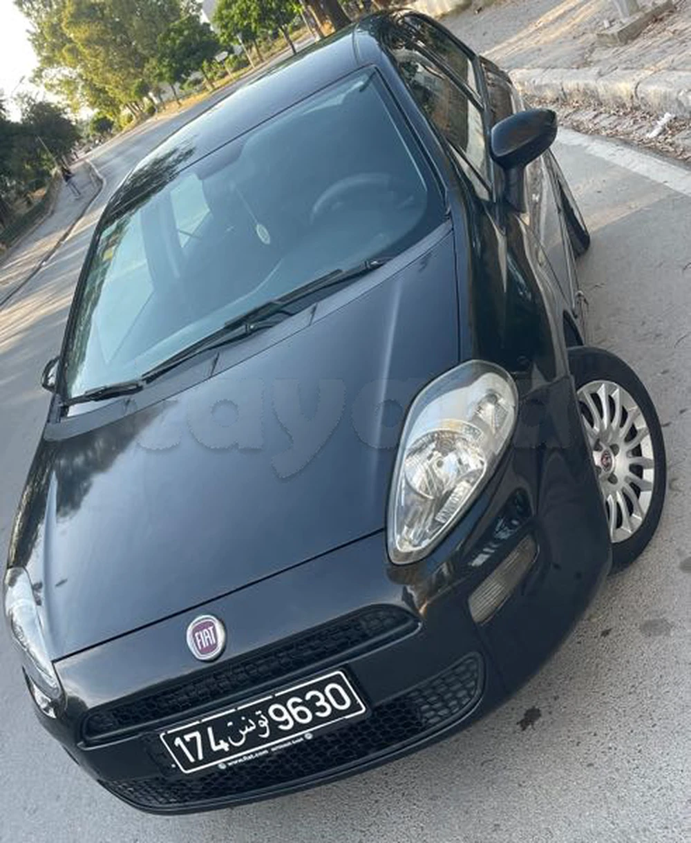 Carte voiture Fiat Punto