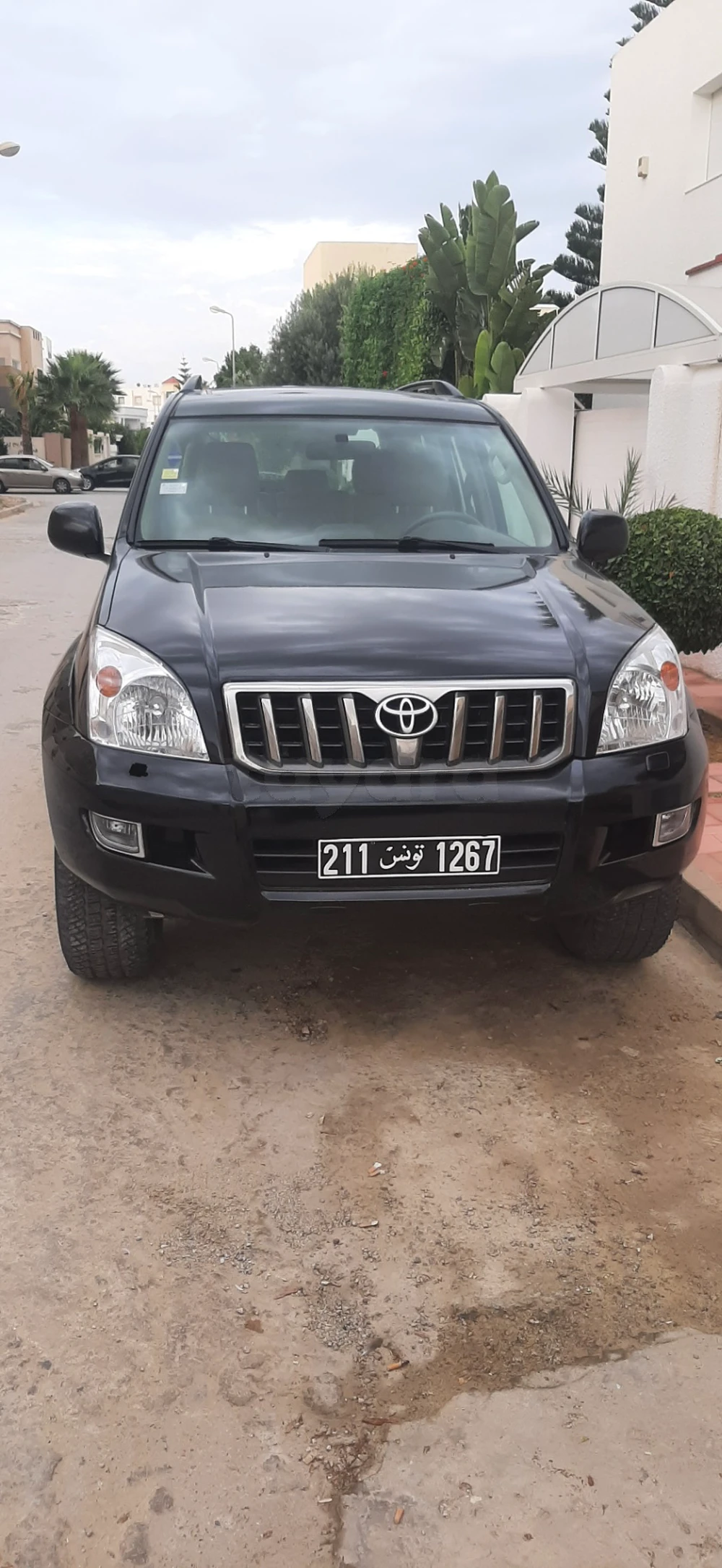 Carte voiture Toyota Prado