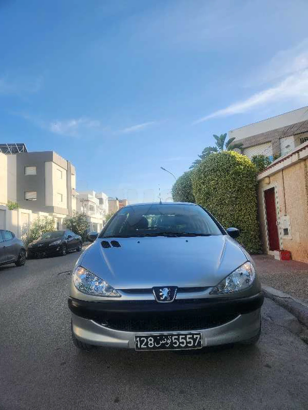 Carte voiture Peugeot 206