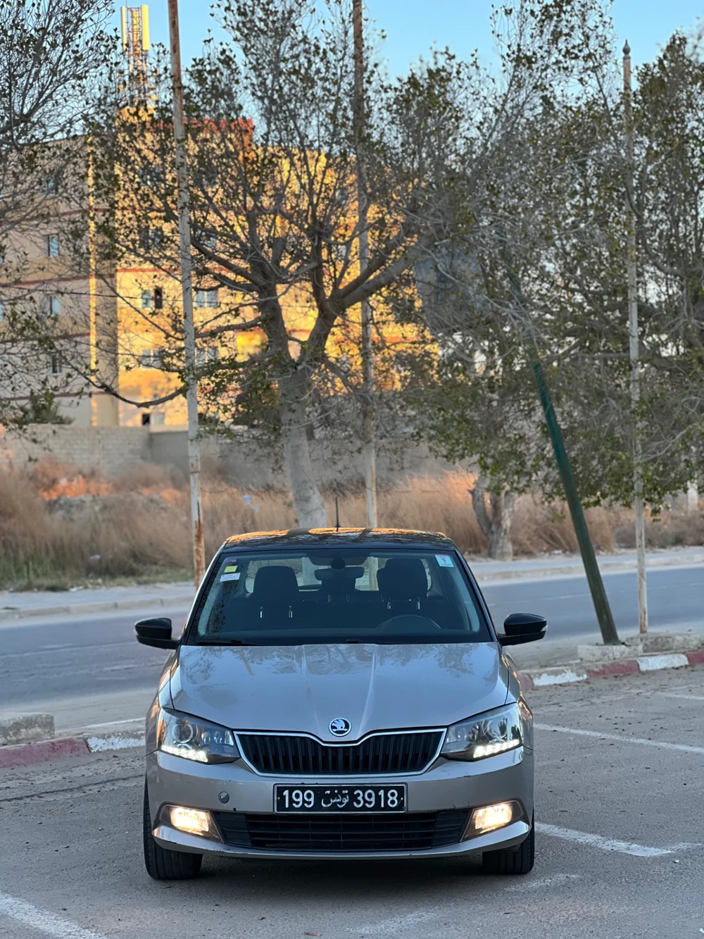 Carte voiture Skoda Fabia