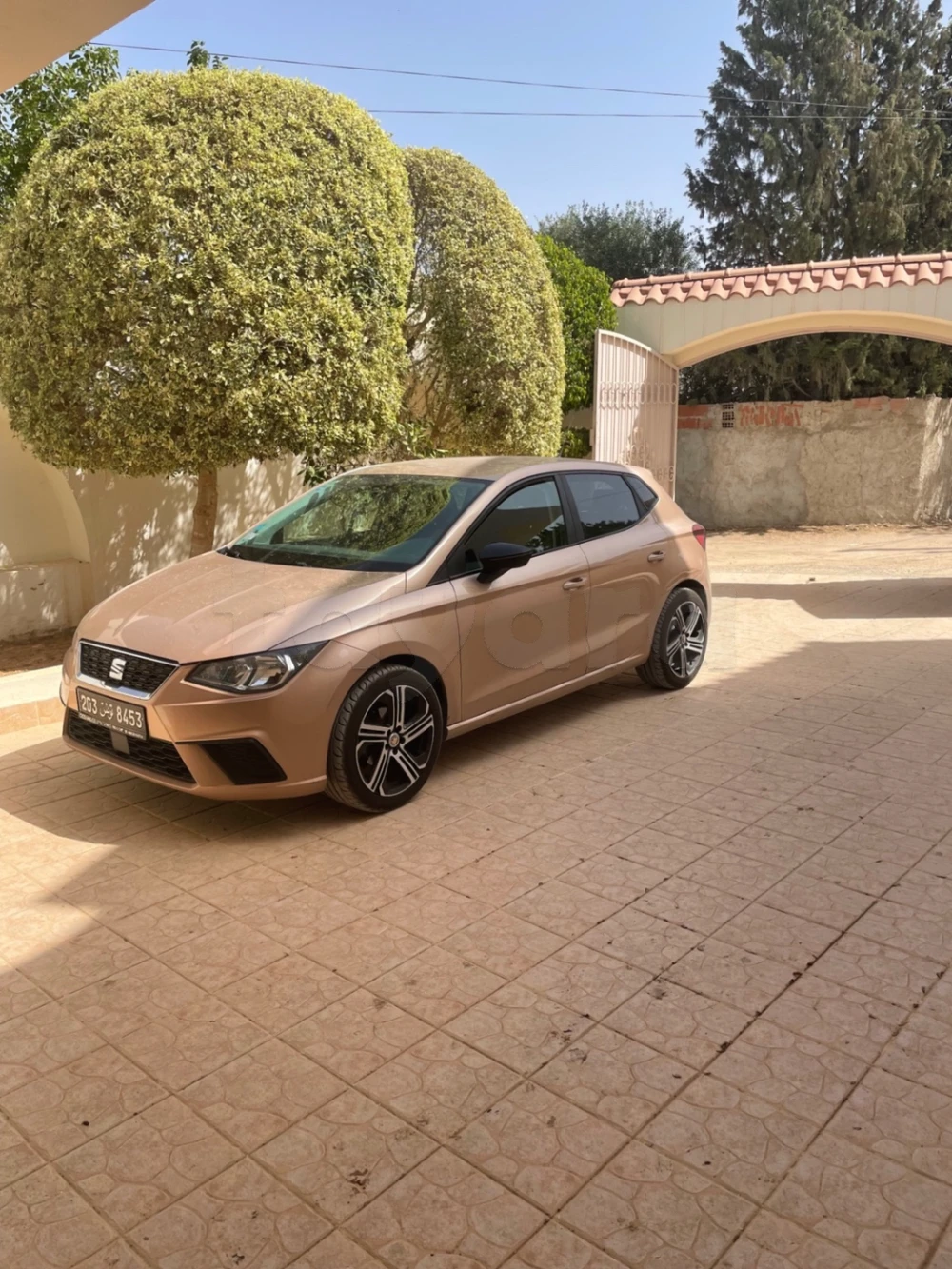 Carte voiture SEAT Ibiza