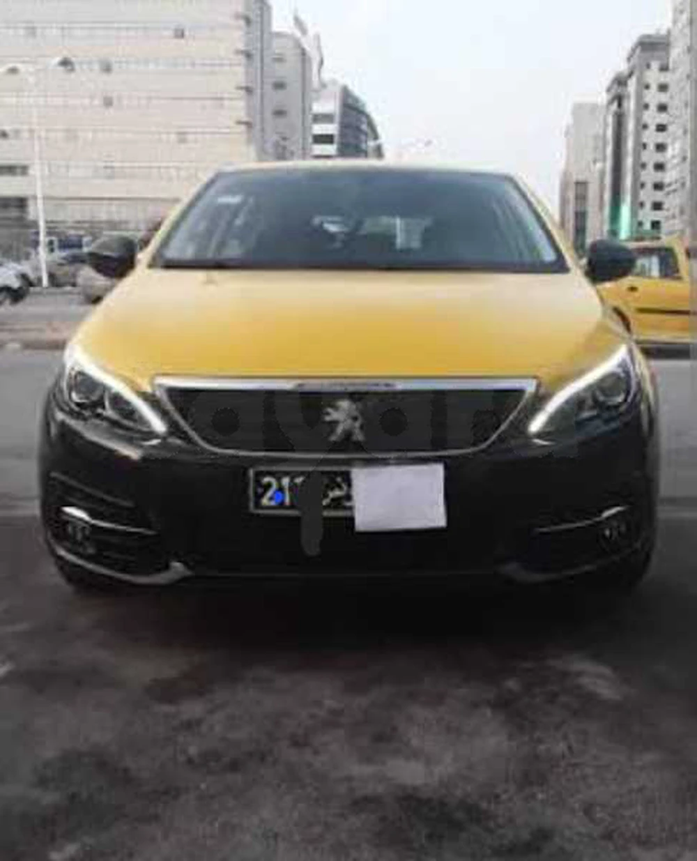 Carte voiture Peugeot 301