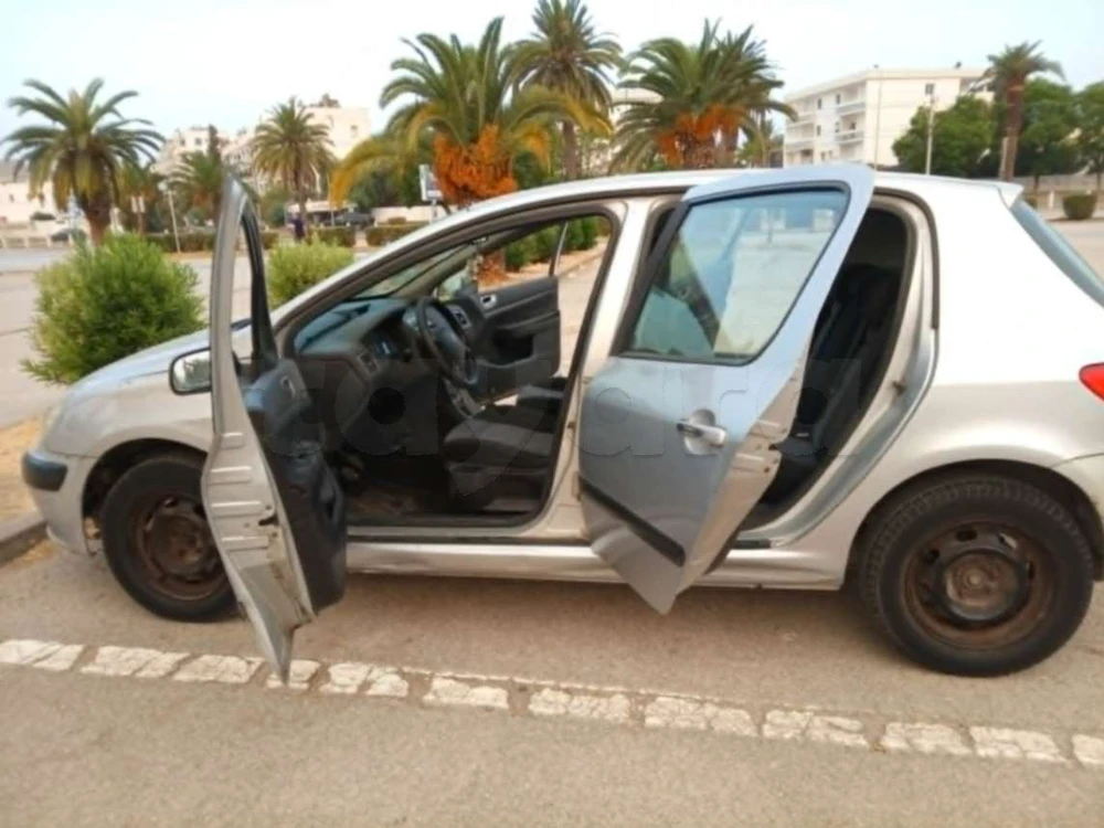 Peugeot 307