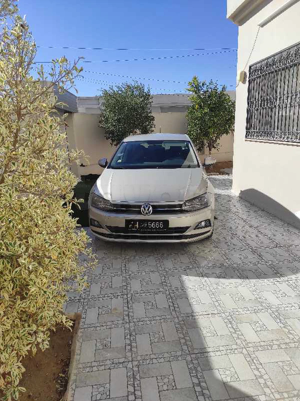 Carte voiture Volkswagen Polo