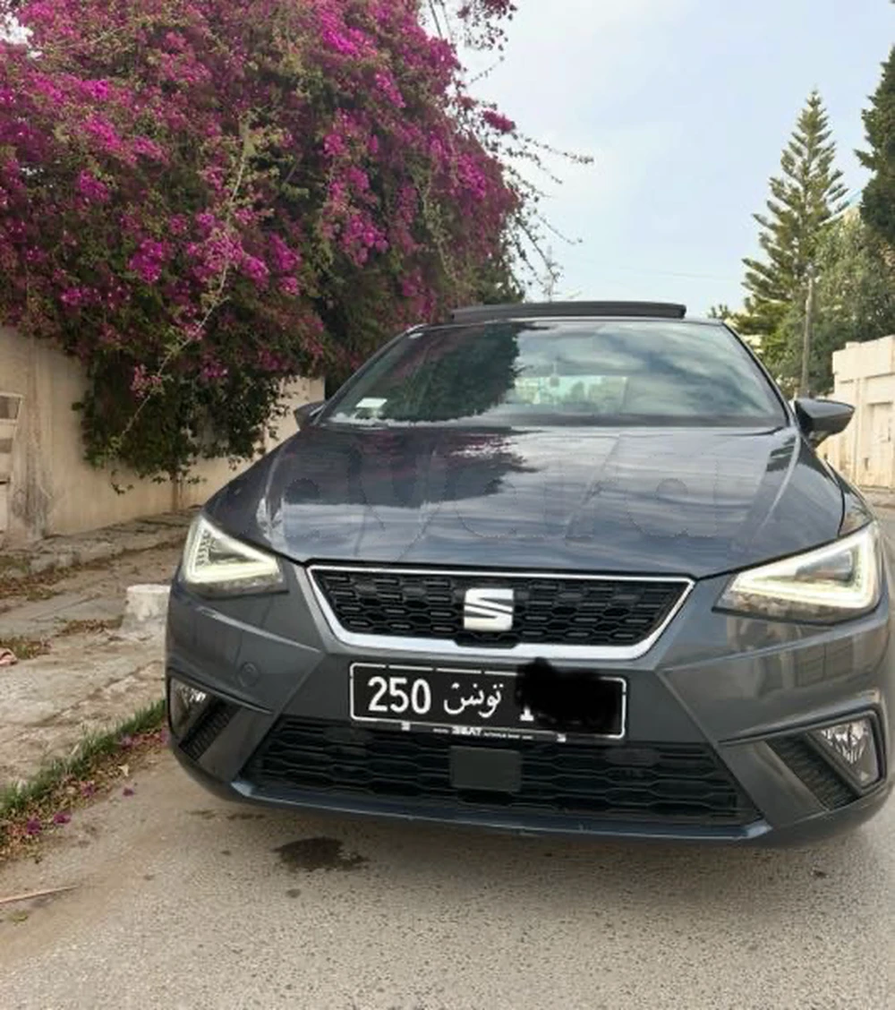 Carte voiture SEAT Ibiza