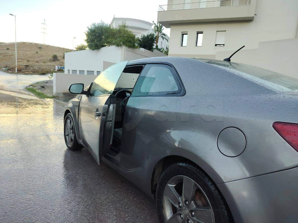 Carte voiture Kia Sorento