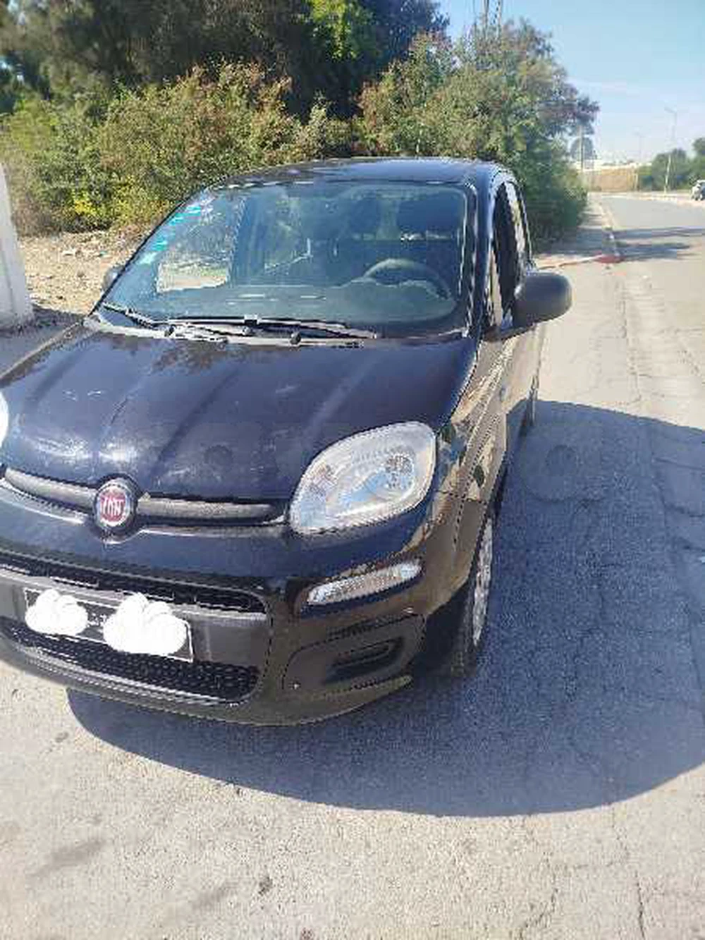 Carte voiture Fiat Panda