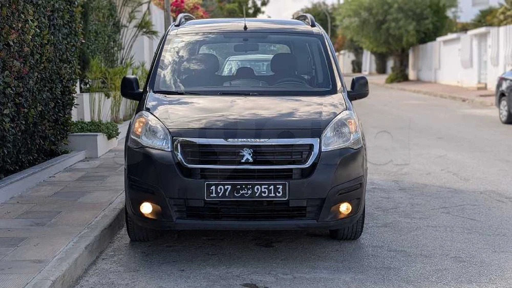 Carte voiture Peugeot Tepee