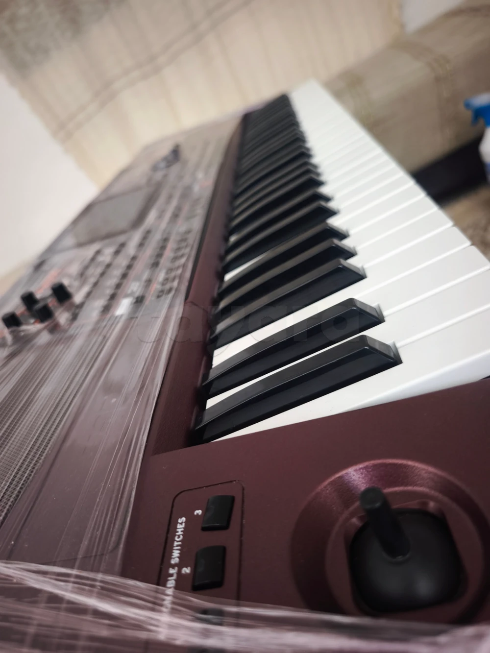 Korg pa 1000
