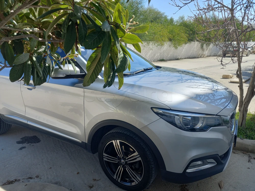 MG ZS