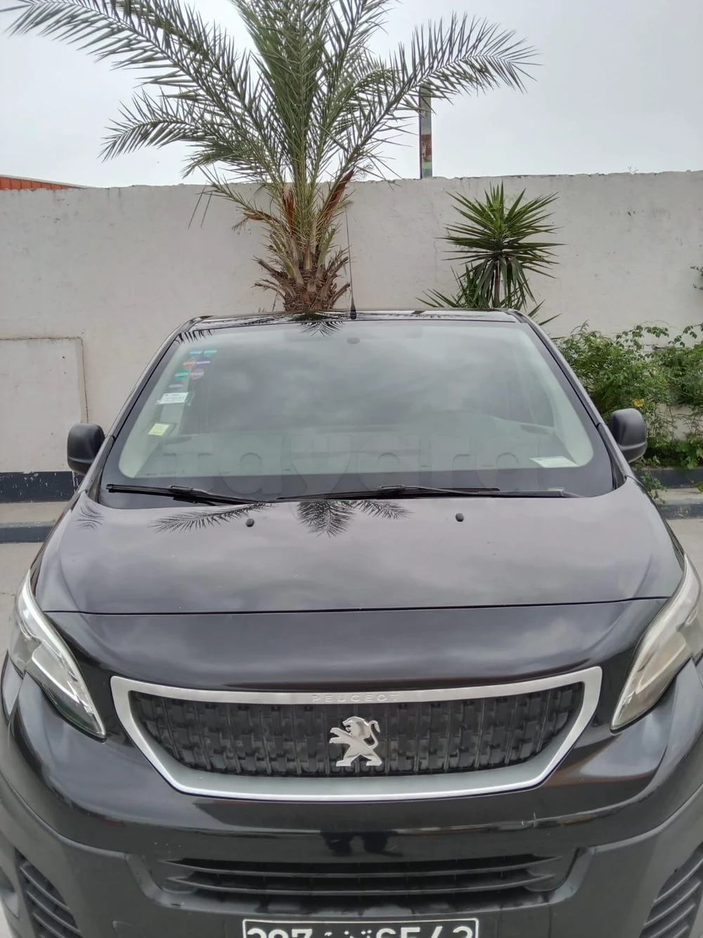 Carte voiture Peugeot Expert