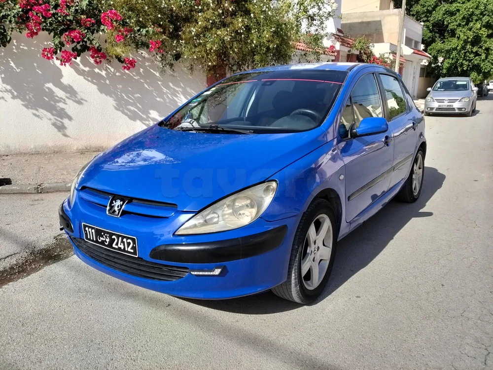 Carte voiture Peugeot 307