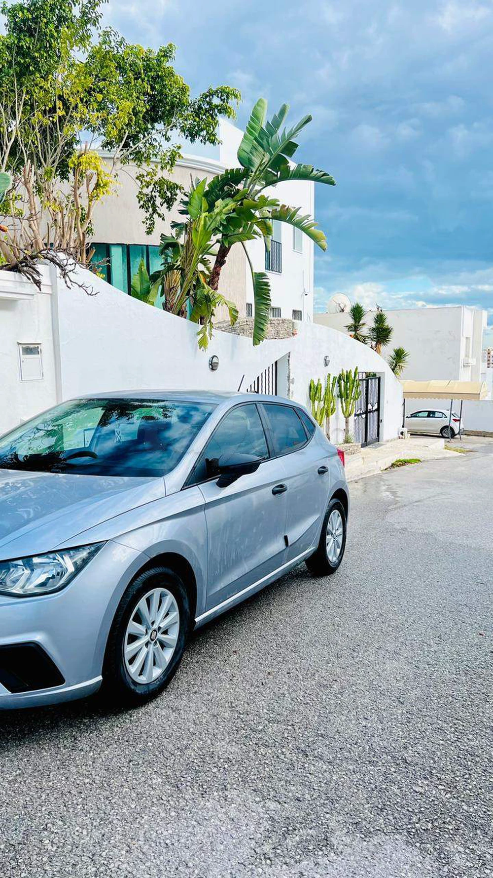 Carte voiture SEAT Ibiza