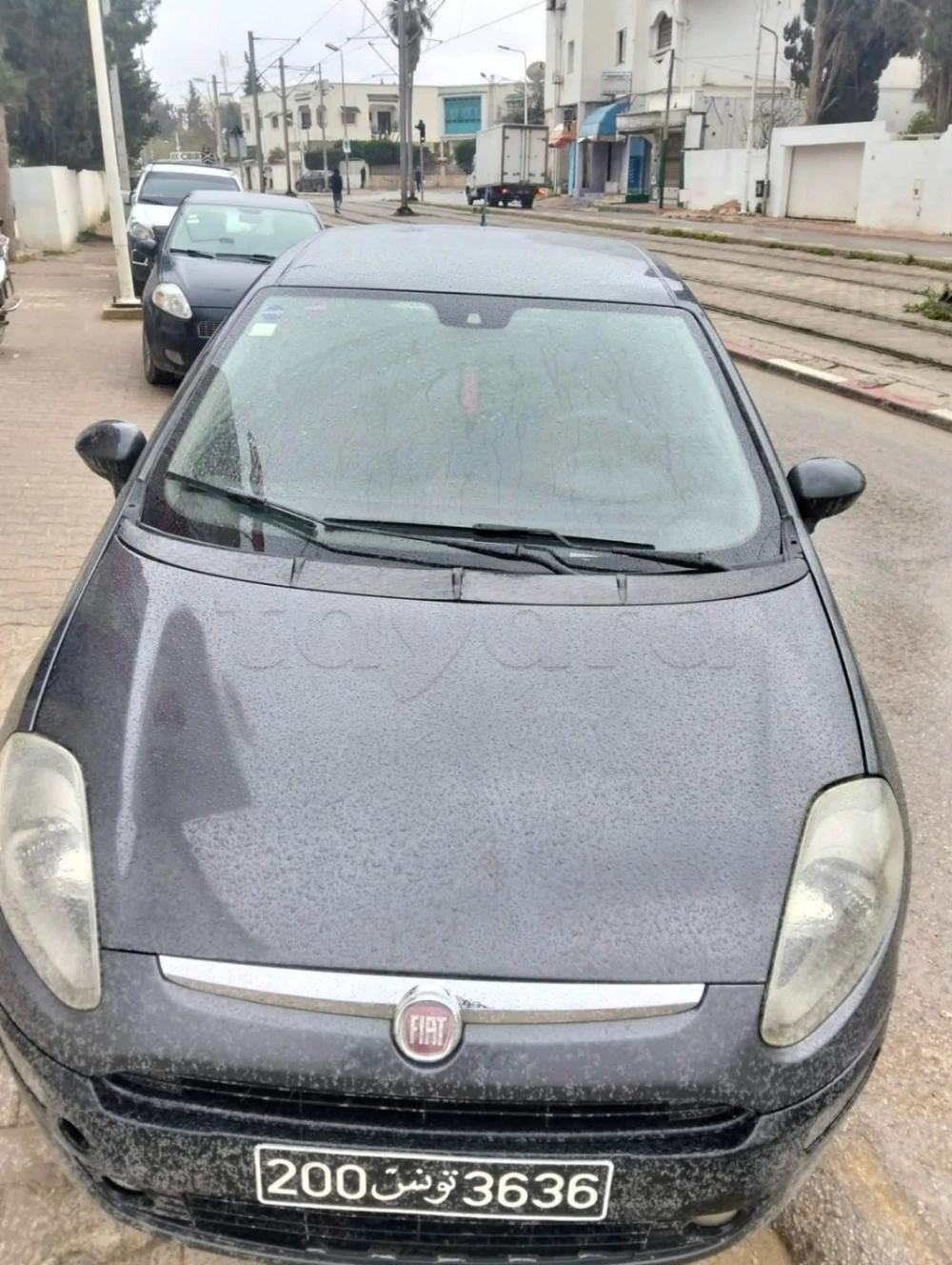 Carte voiture Fiat Punto