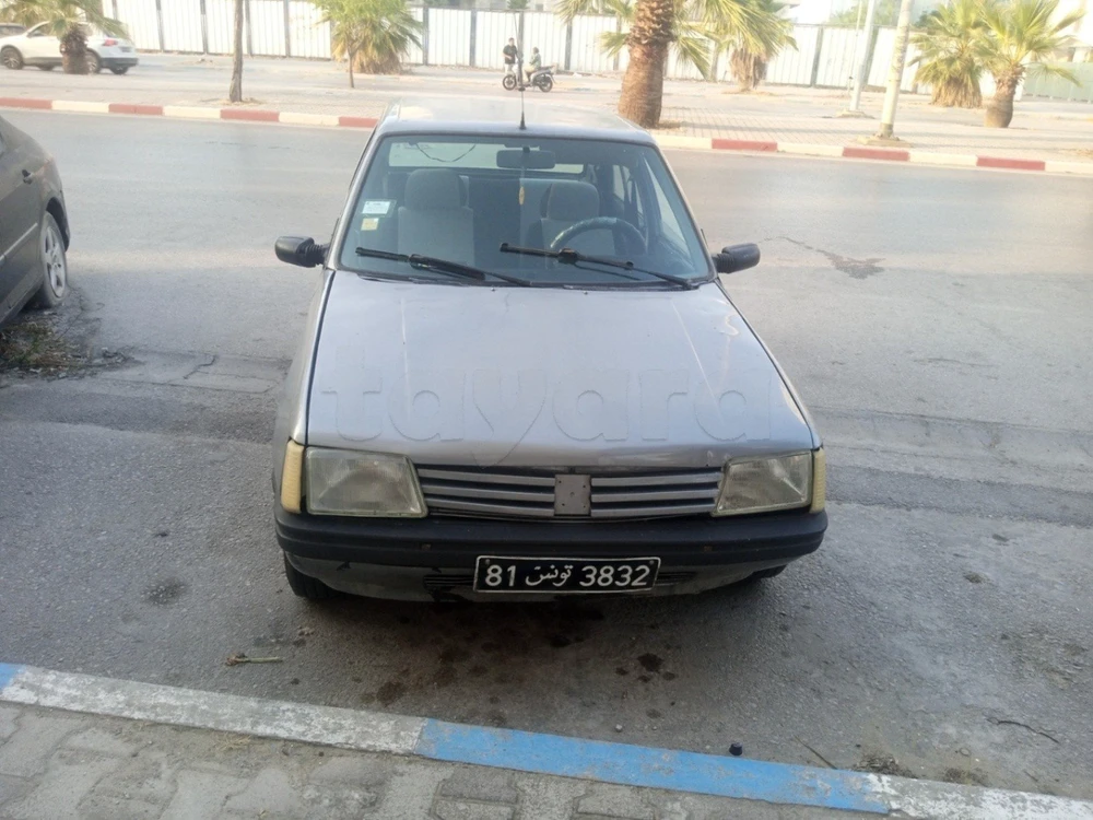 Carte voiture Peugeot 205