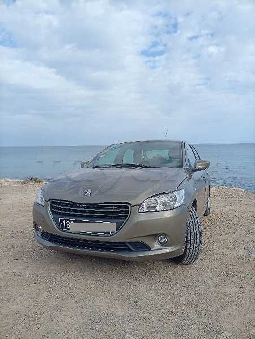 Carte voiture Peugeot 301