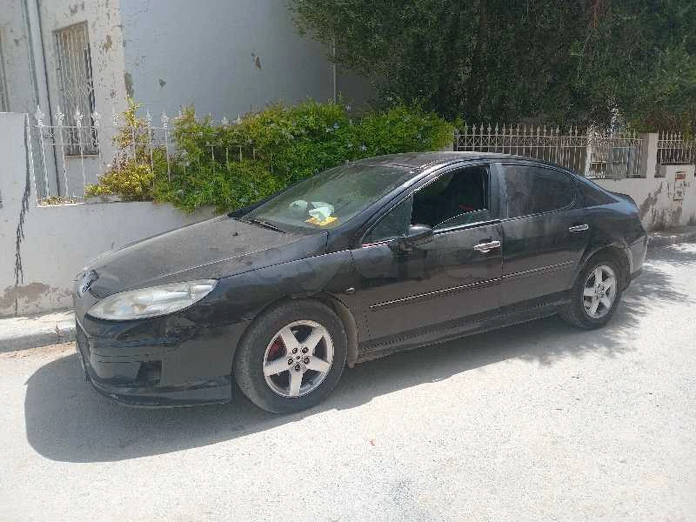 Peugeot 407