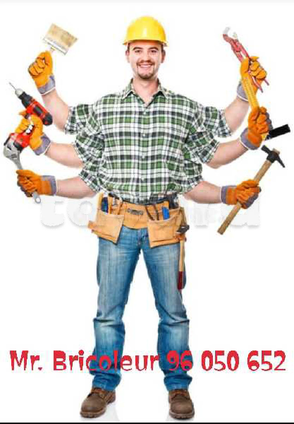 BRICOLEUR