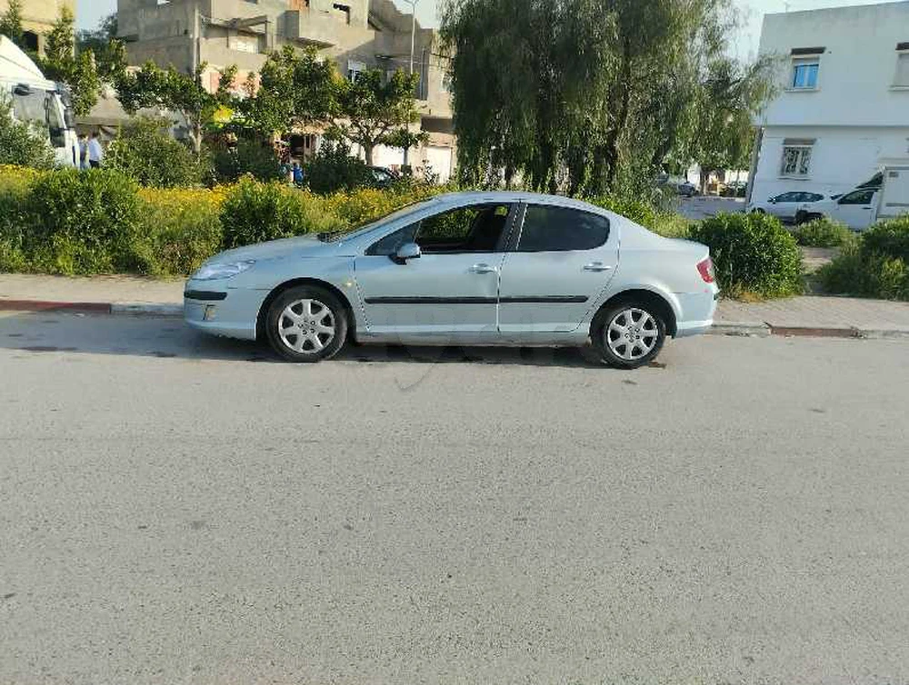 Carte voiture Peugeot 407