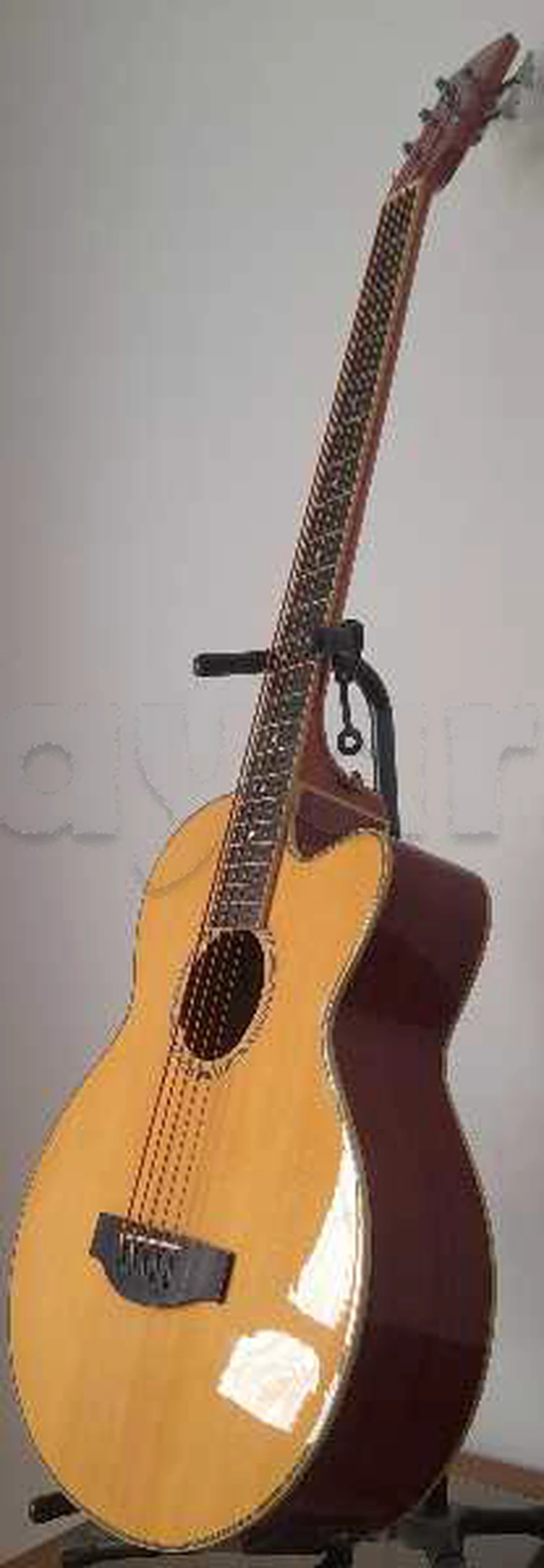Guitare Basse électro-acoustique