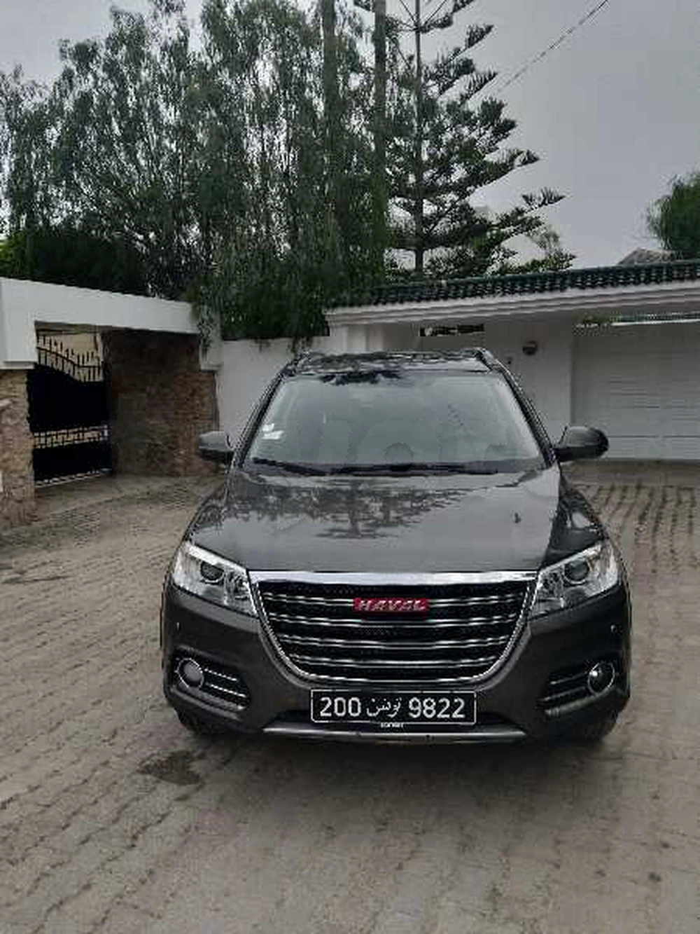 Carte voiture Haval H6
