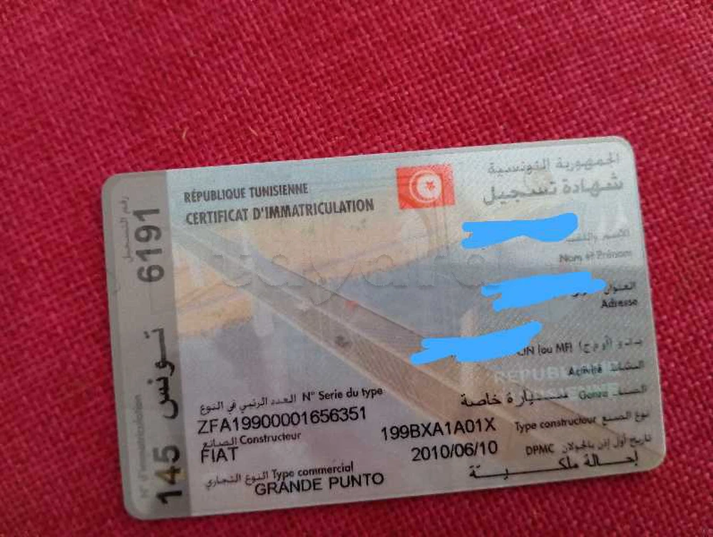 Carte voiture Fiat Punto