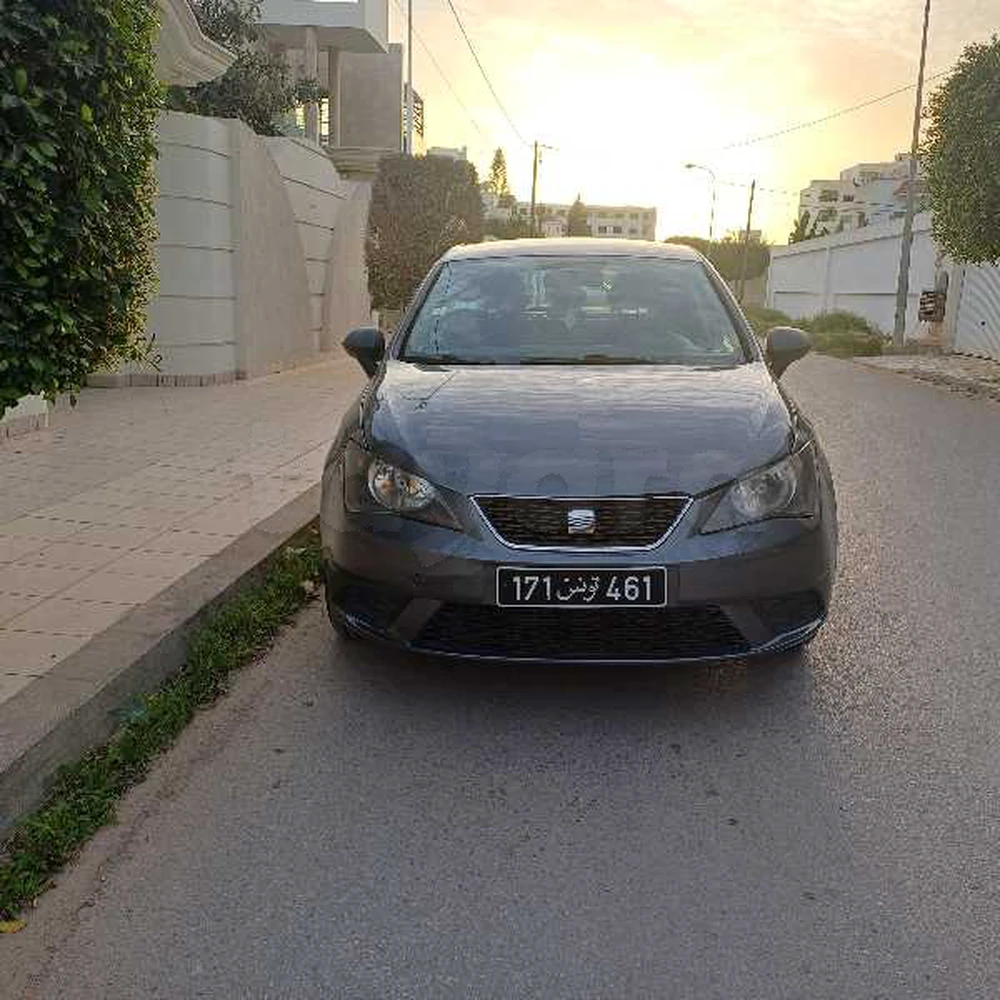 Carte voiture SEAT Ibiza