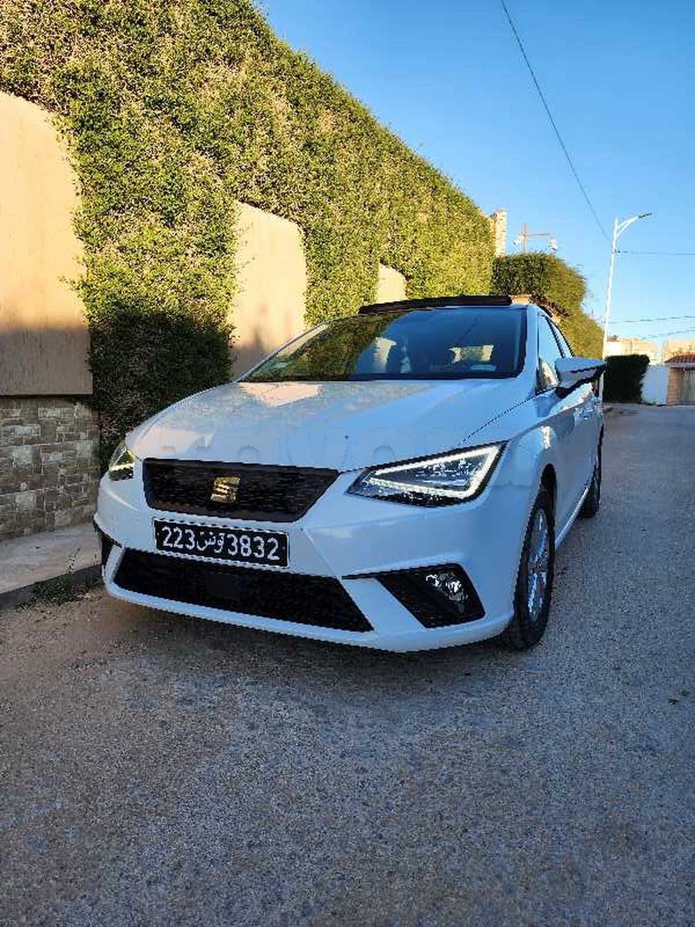 Carte voiture SEAT Ibiza