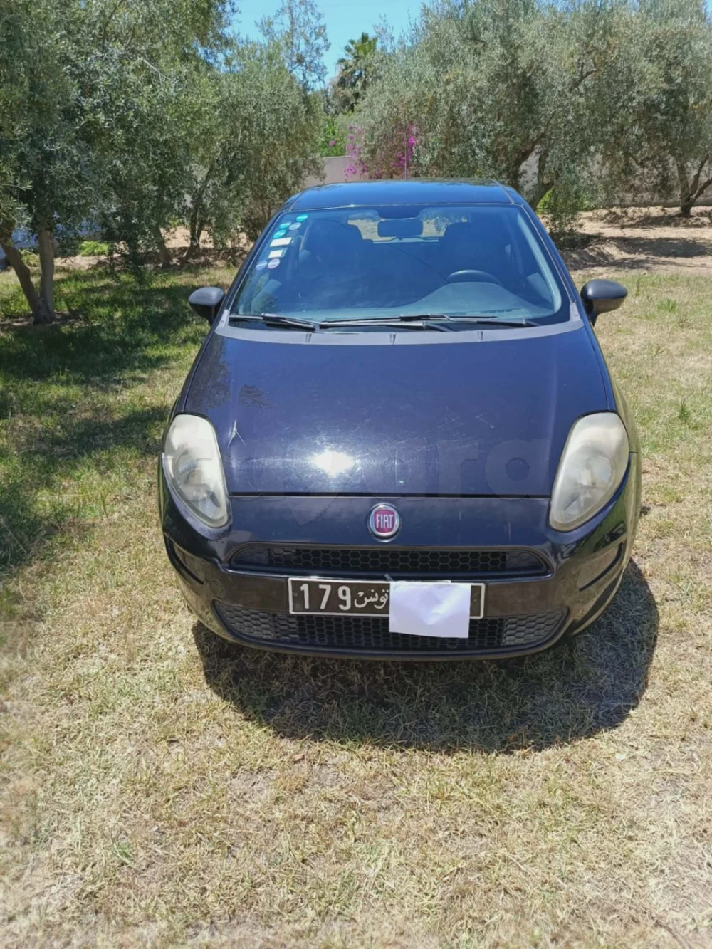 Carte voiture Fiat Grande Punto