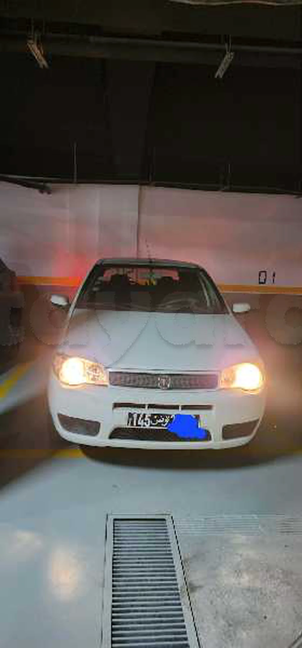 Carte voiture Fiat Palio
