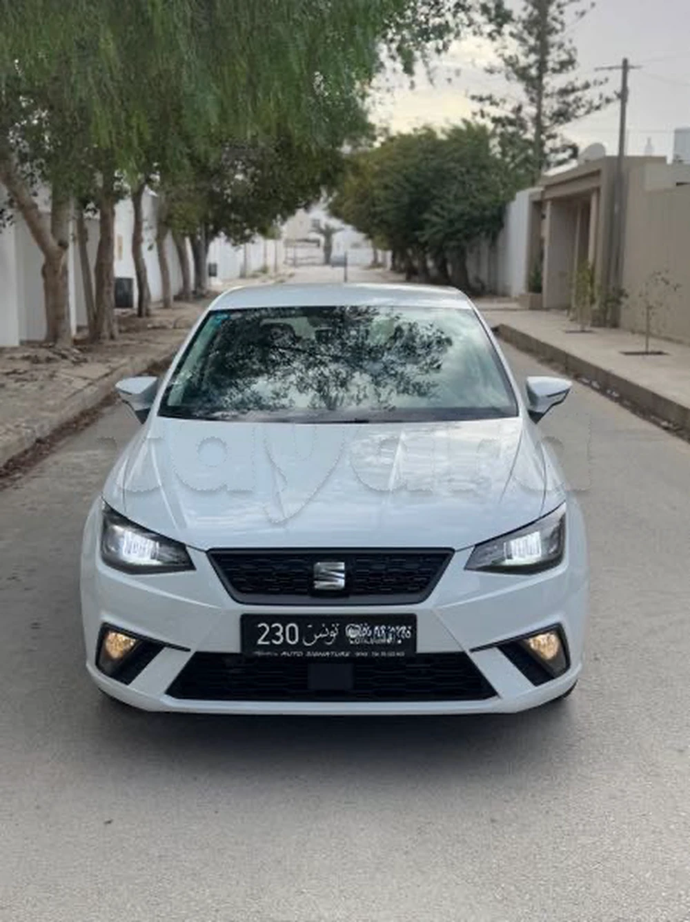 Carte voiture SEAT Ibiza