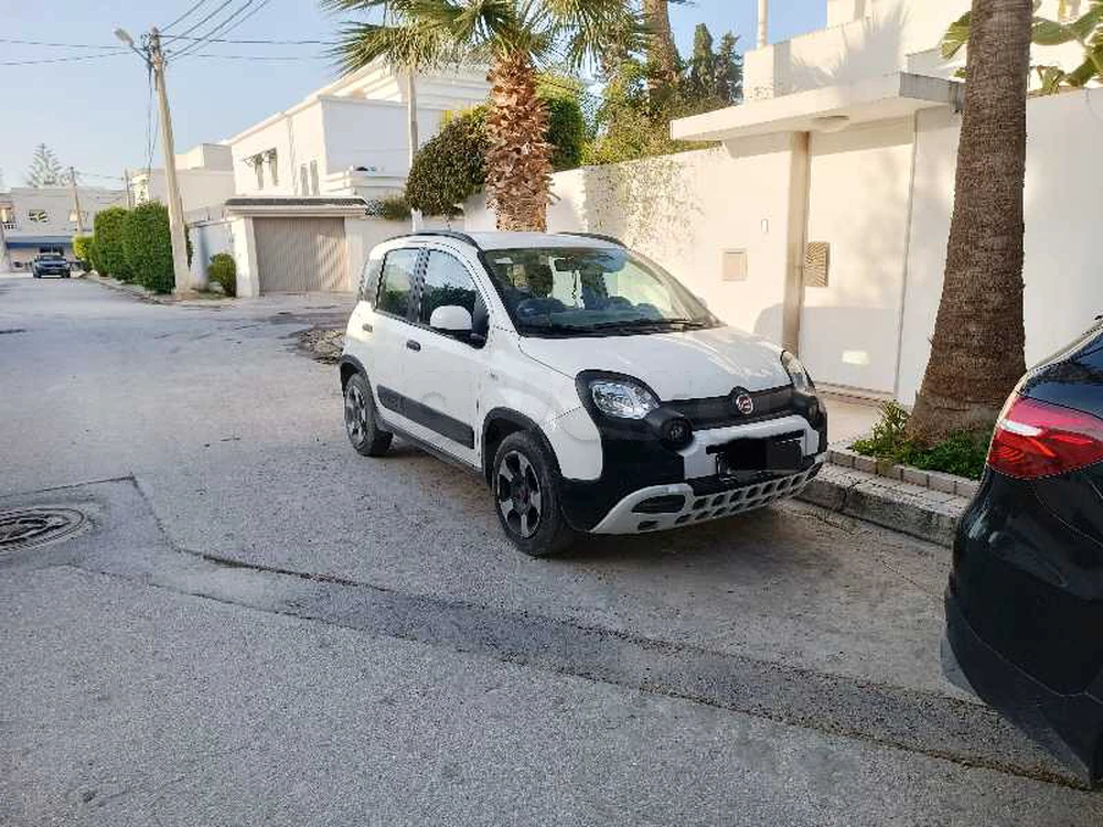 Carte voiture Fiat Panda