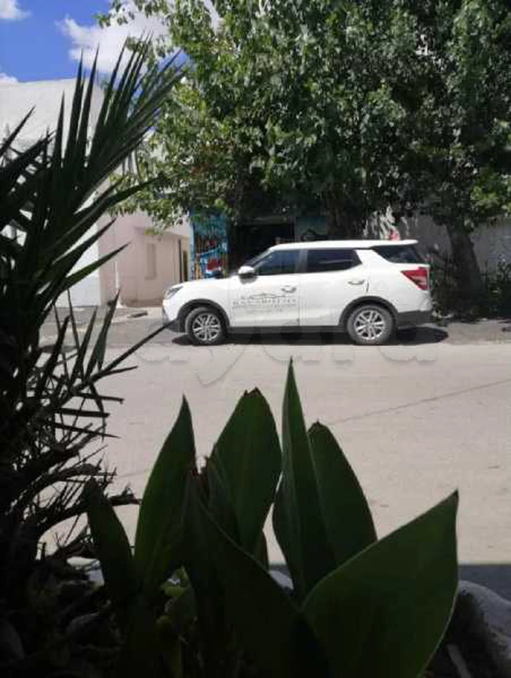 SsangYong Family