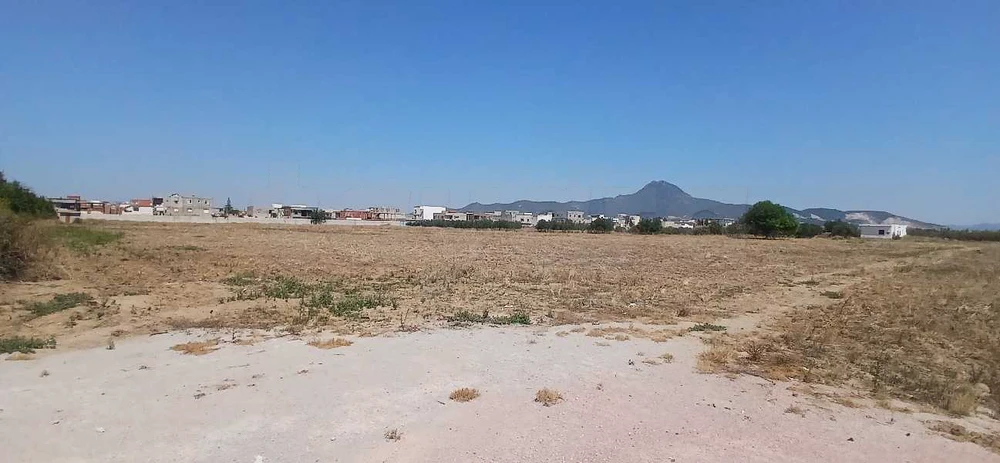 5 hectares