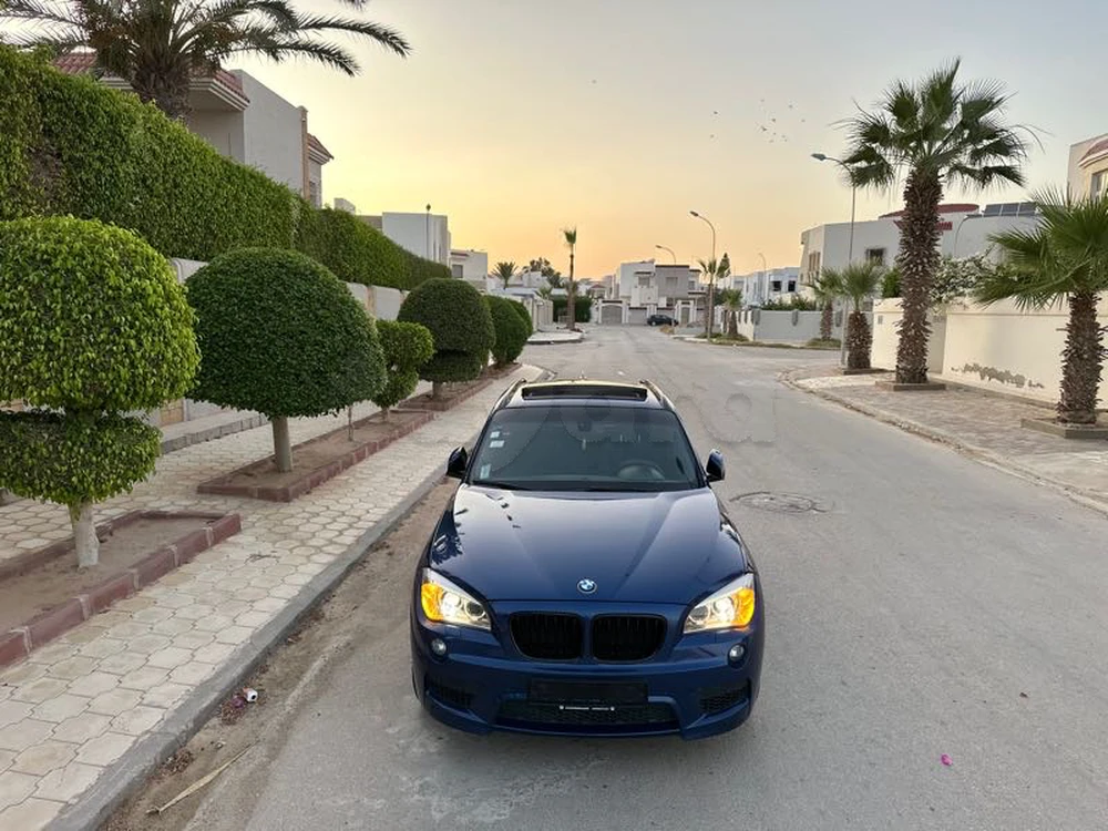 Carte voiture BMW X1