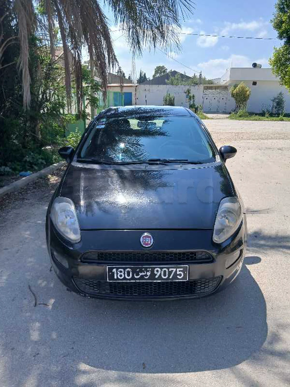 Carte voiture Fiat Grande Punto