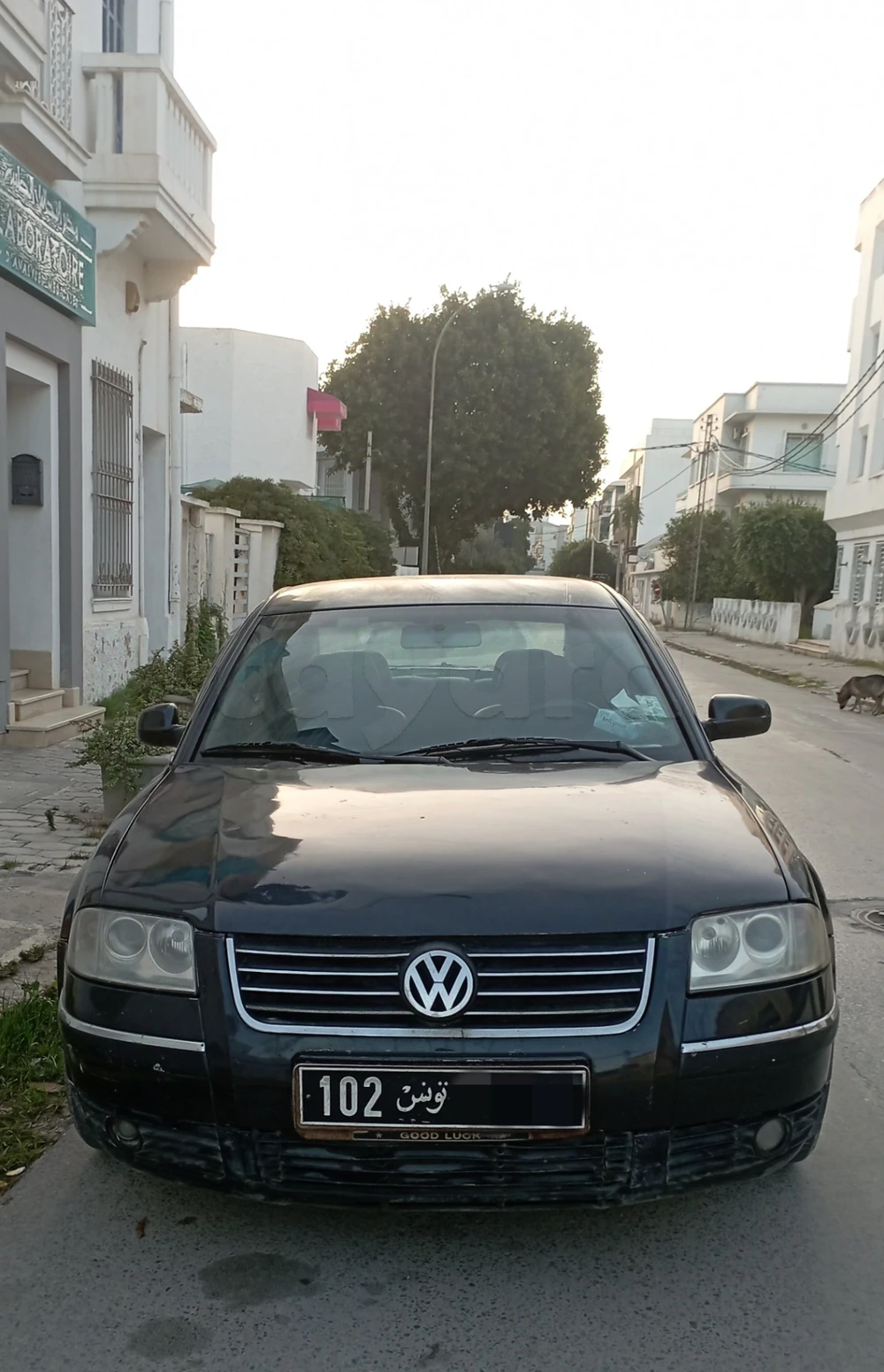 Carte voiture Volkswagen Passat