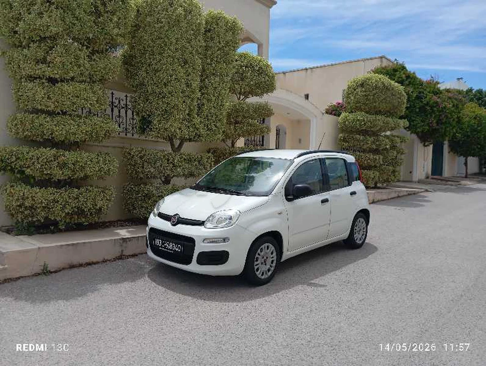 Carte voiture Fiat Panda