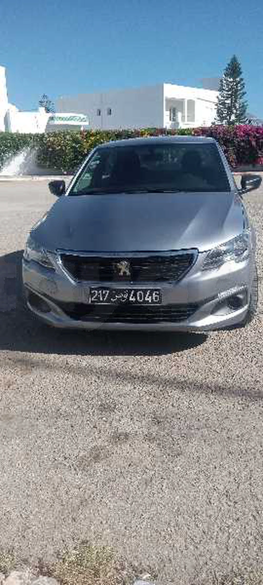 Carte voiture Peugeot 301