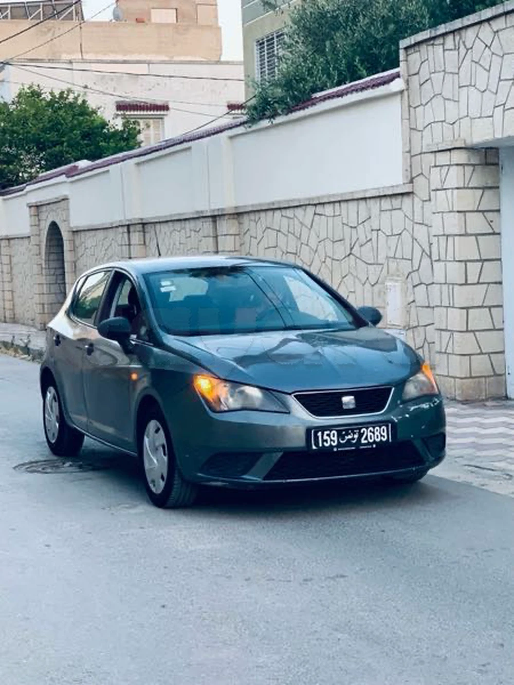 Carte voiture SEAT Ibiza