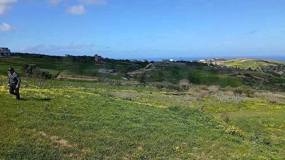 terrain rafraf
