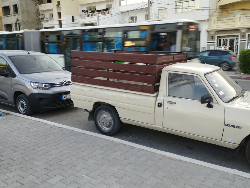 Carte voiture Peugeot 504