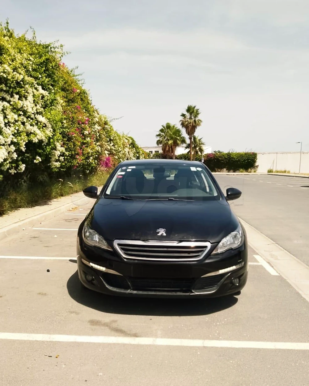 Carte voiture Peugeot 308
