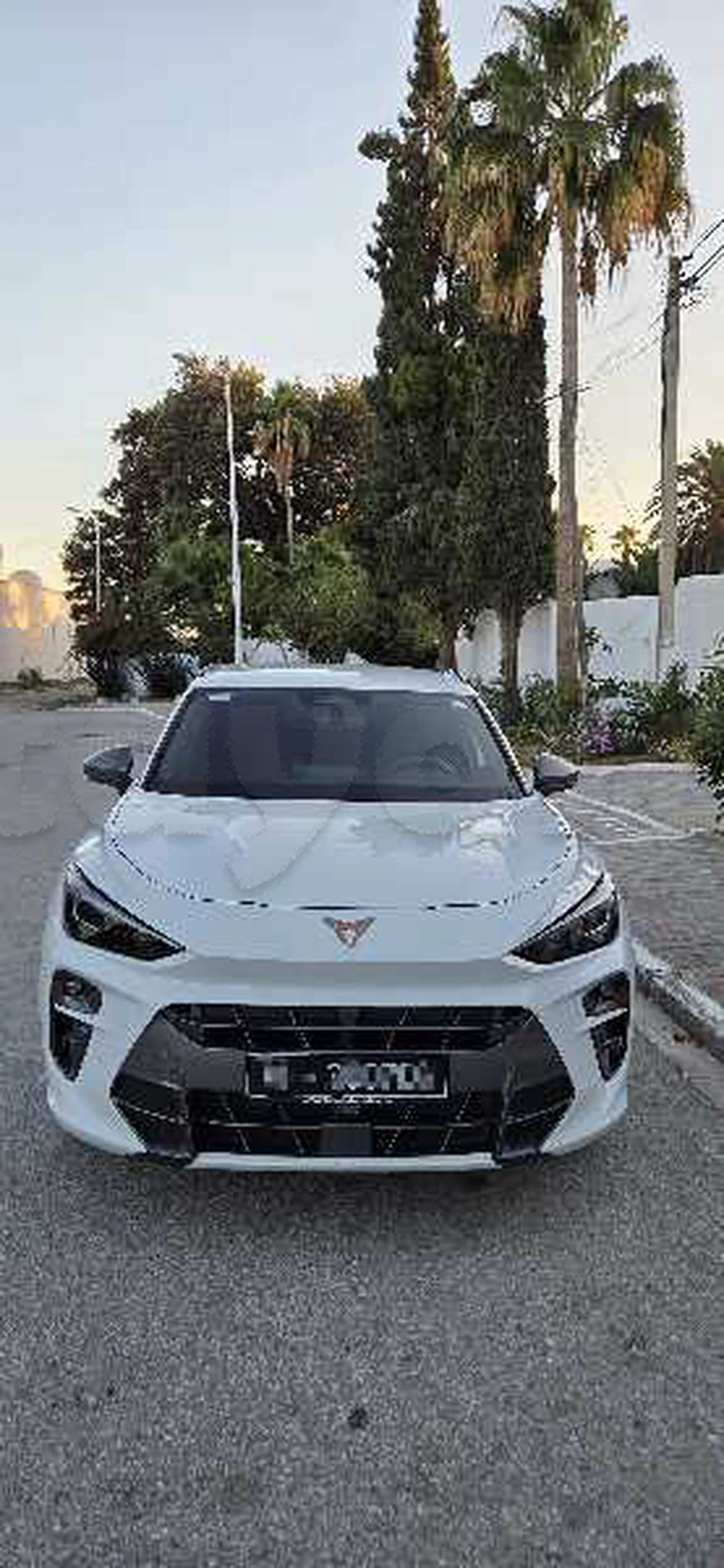 SEAT Altea