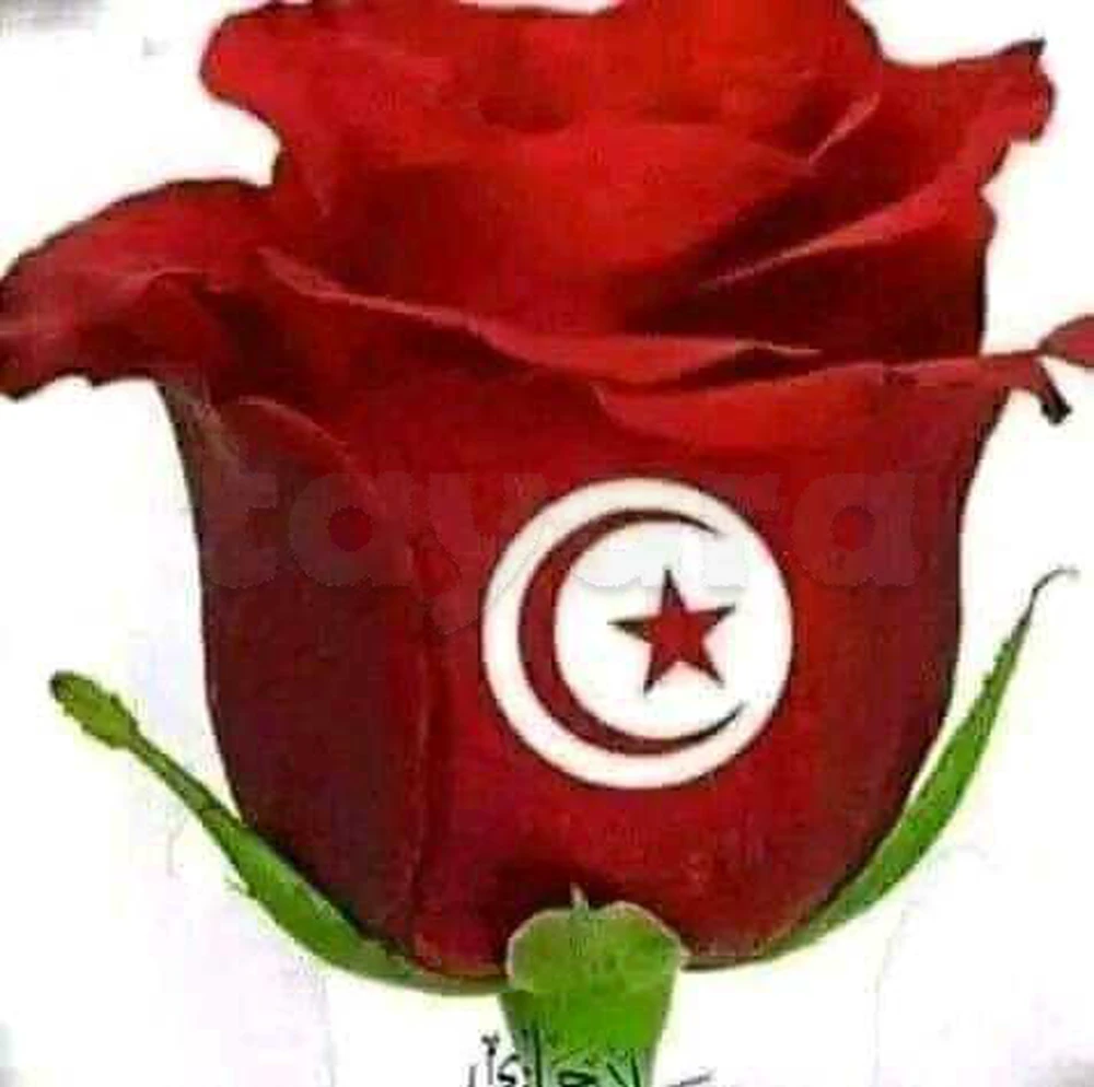 للبيع محل تجاري مع اصل تجاري