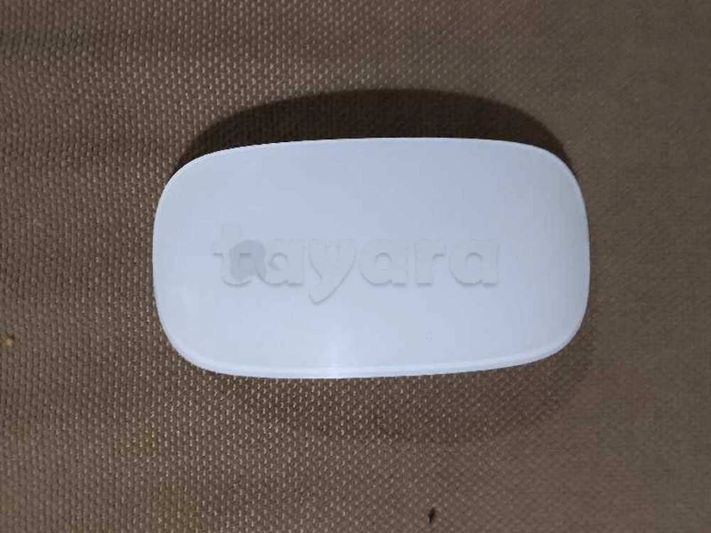 Magic mouse 2
