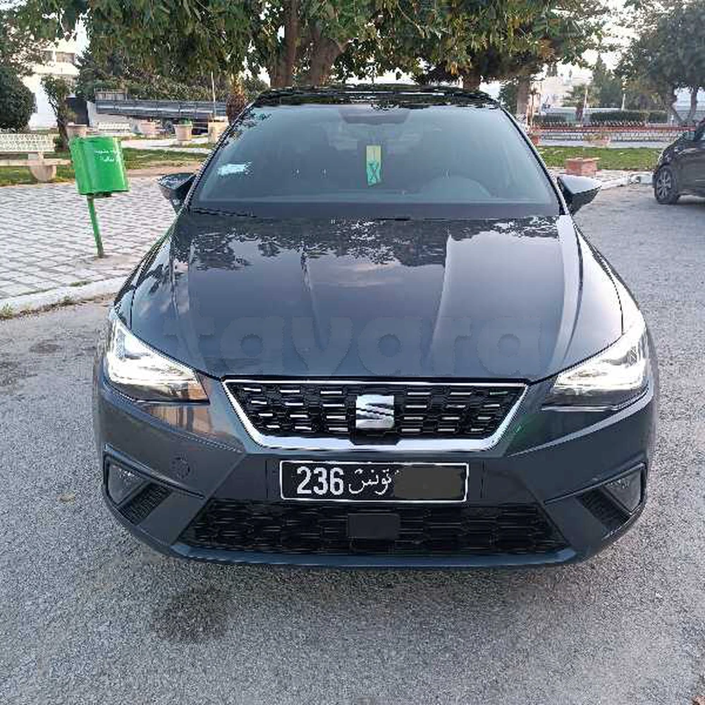 Carte voiture SEAT Ibiza