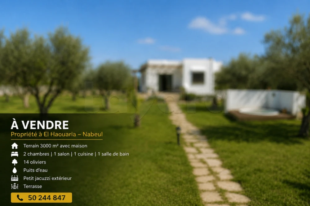 🏡 À VENDRE – Propriété de 3 000 m² à El Haouaria, Nabeul