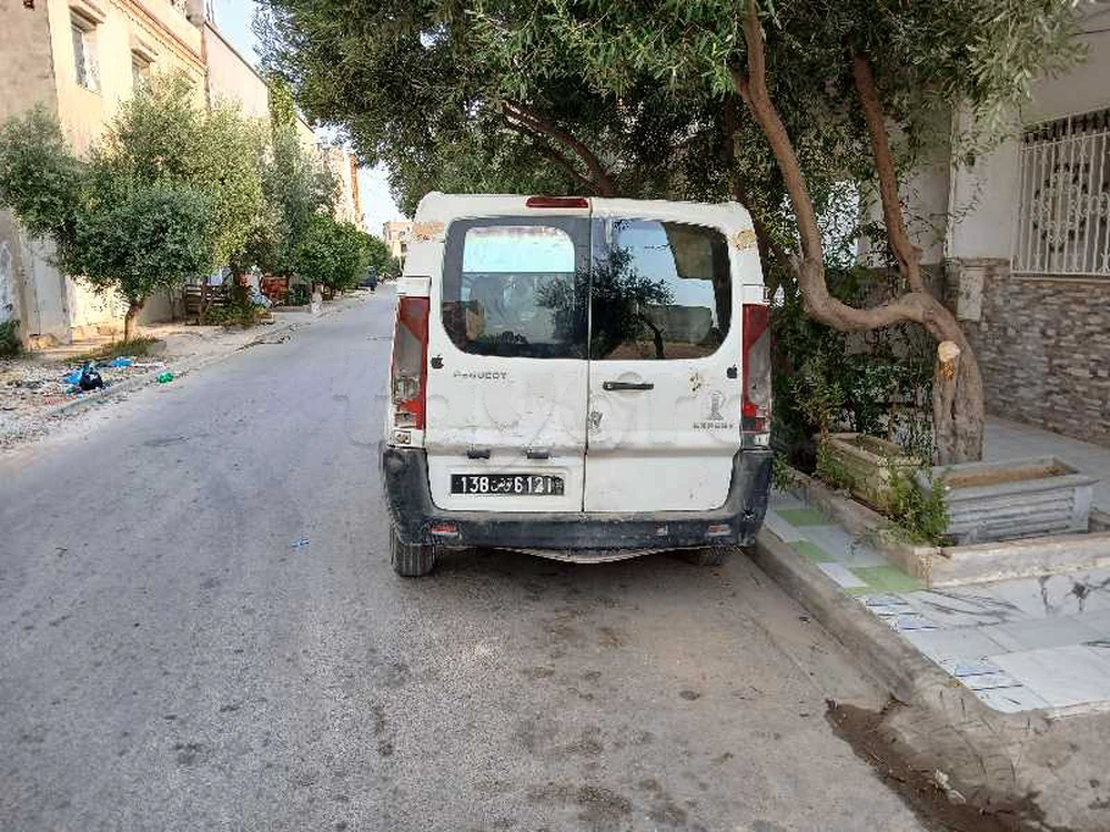 Peugeot Expert
