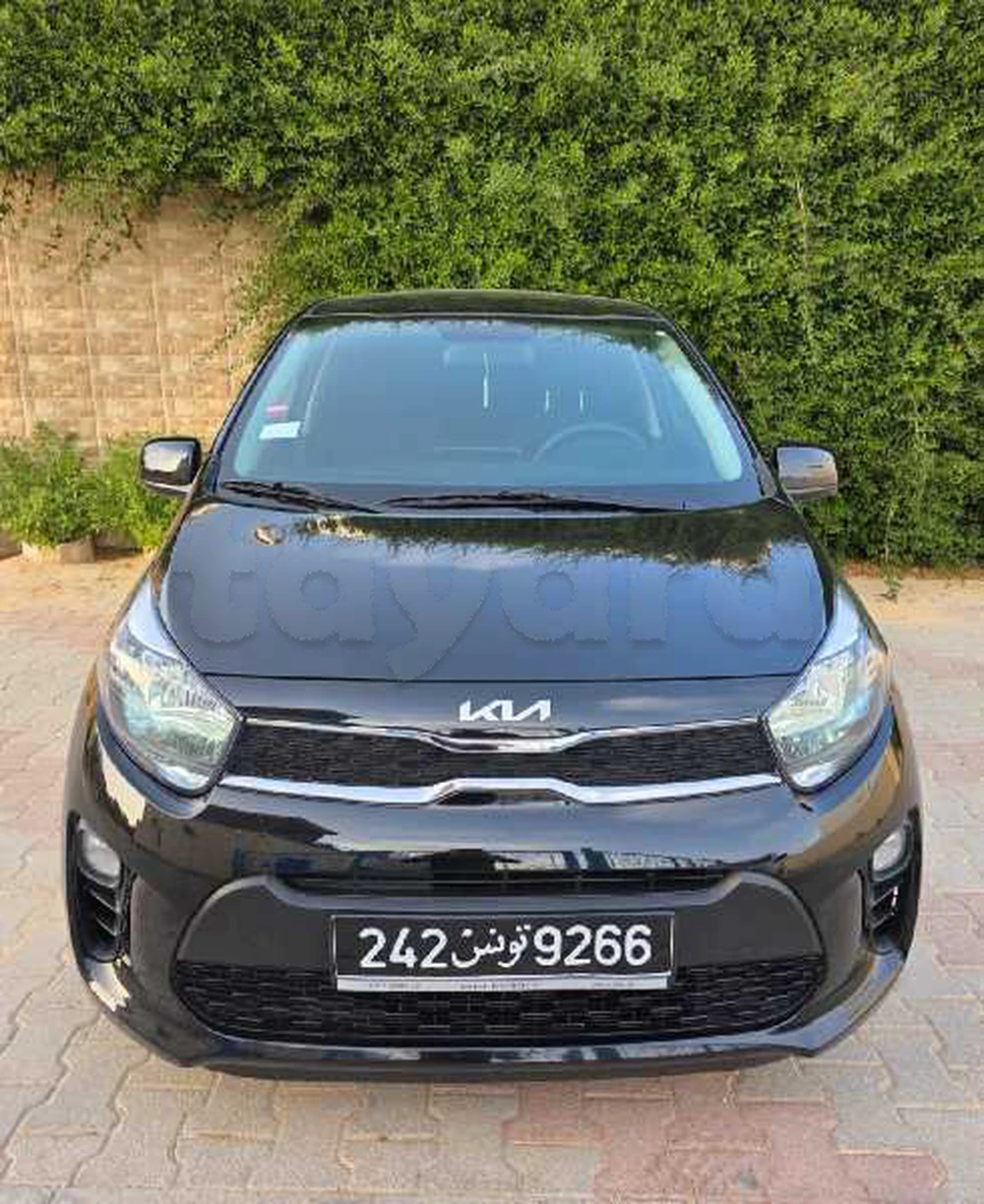Carte voiture Kia Picanto